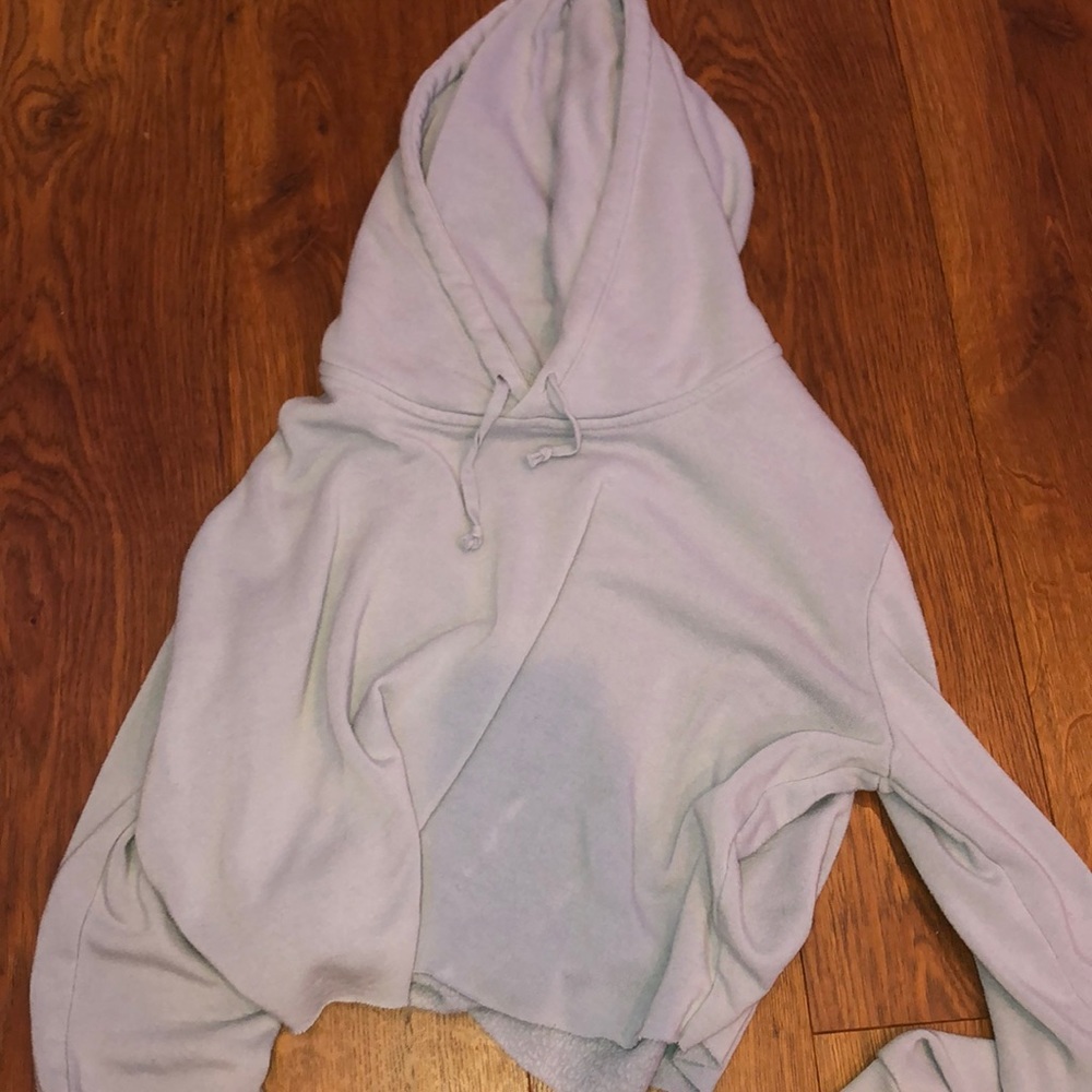brandy baby blue cropped hoodie